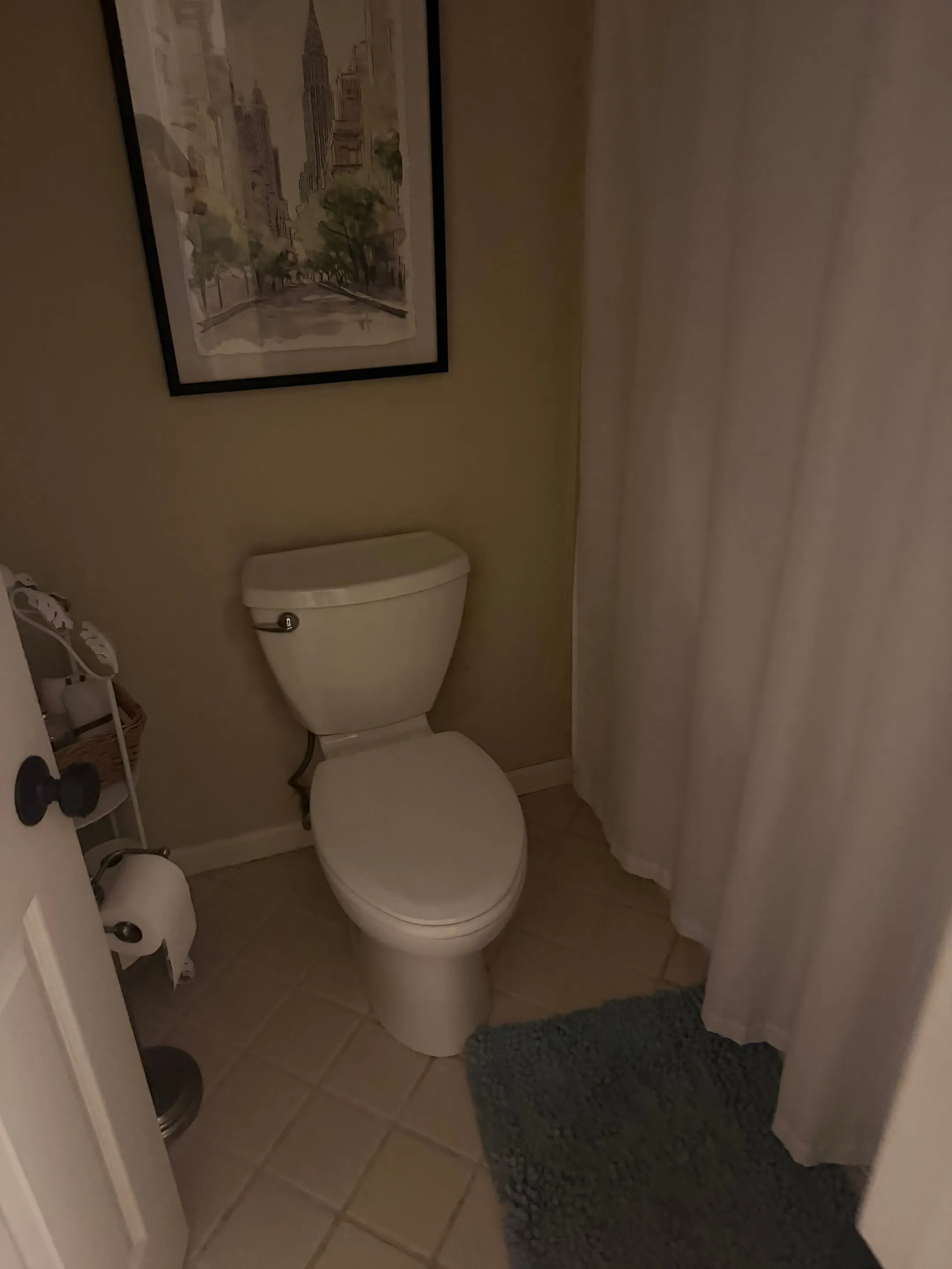 Toilet and shower curtain in the hall bathroom with a tile floor.