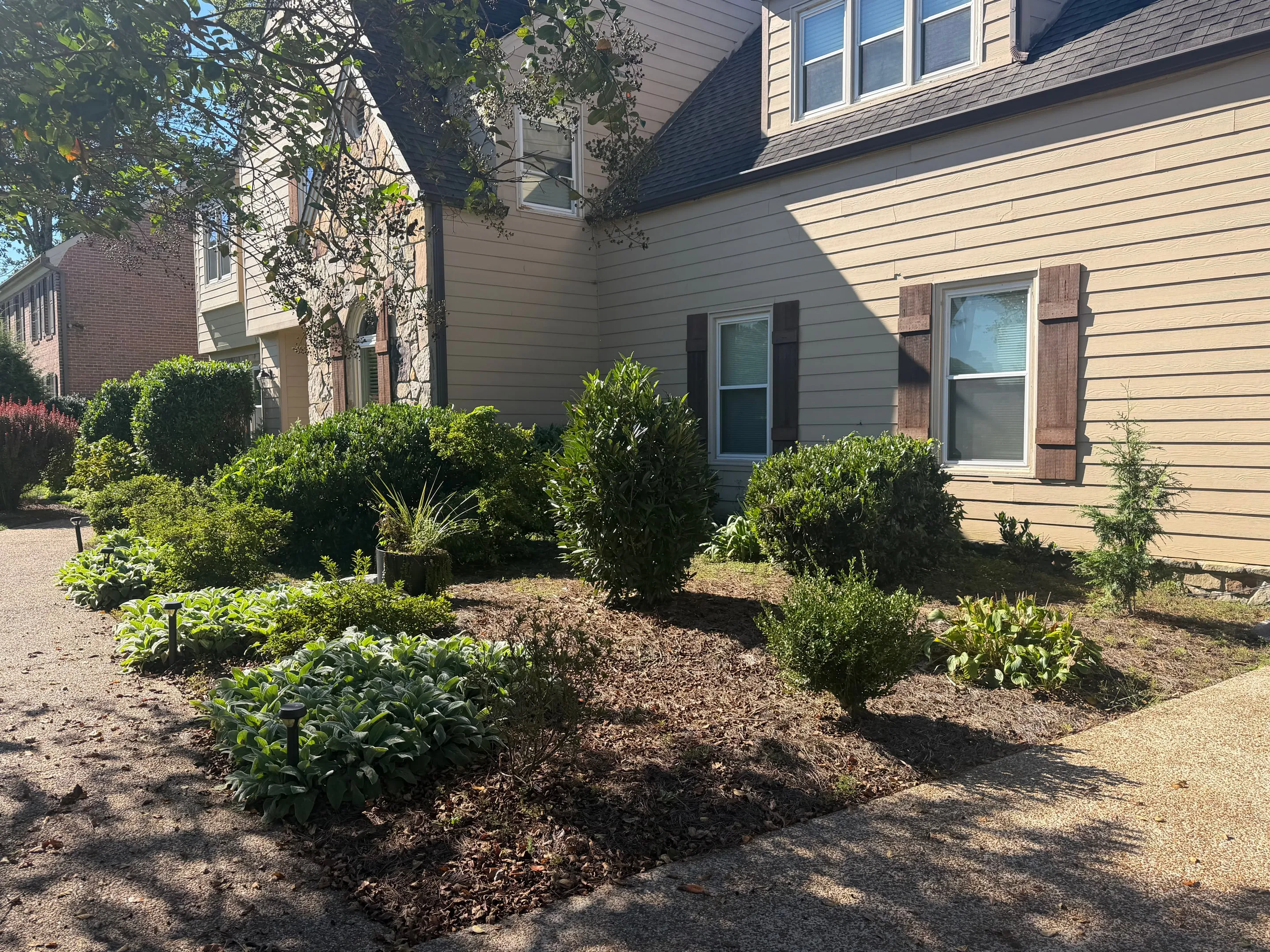 Shrubs and hostas in mulched beds along the front of the house.