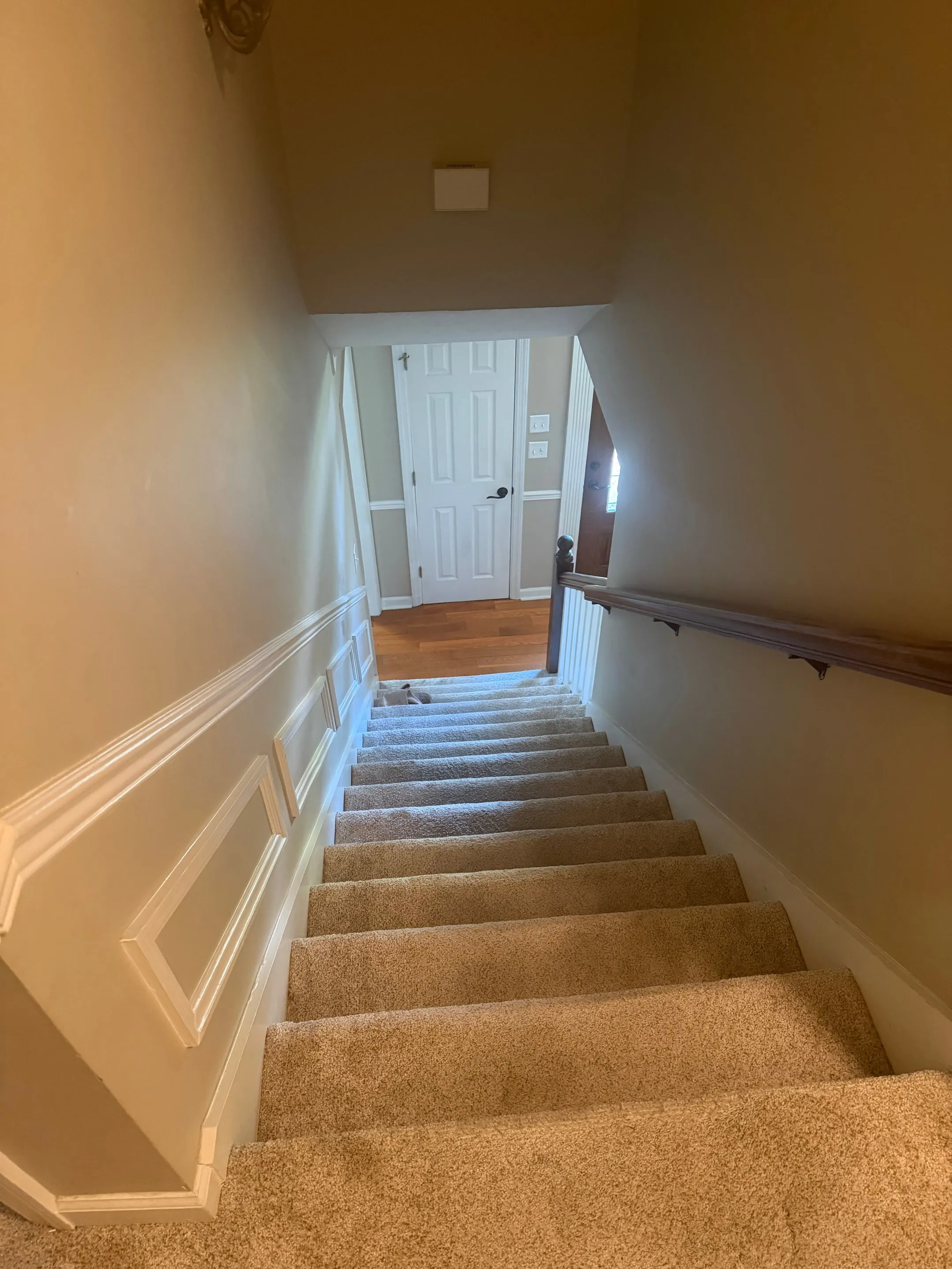 Carpeted staircase with wainscoting, looking down toward the foyer.